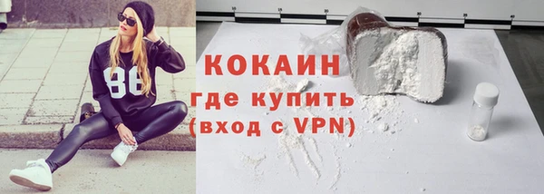 ешки Алексин