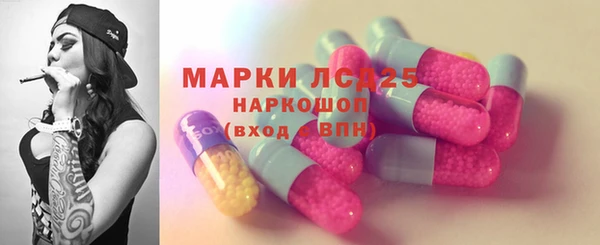 дмт Алзамай