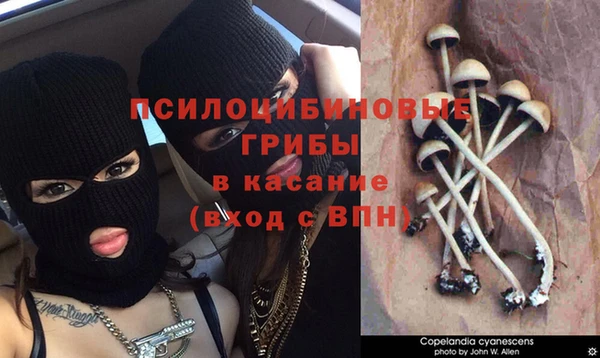 ГАЛЛЮЦИНОГЕННЫЕ ГРИБЫ Алексеевка