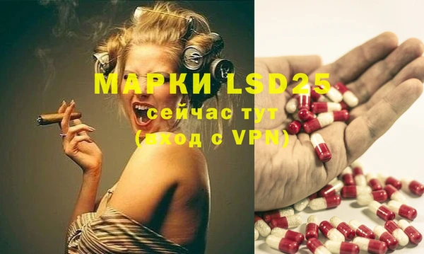ешки Алексин