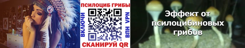Галлюциногенные грибы мухоморы  мориарти официальный сайт  Богородск  магазин продажи наркотиков 